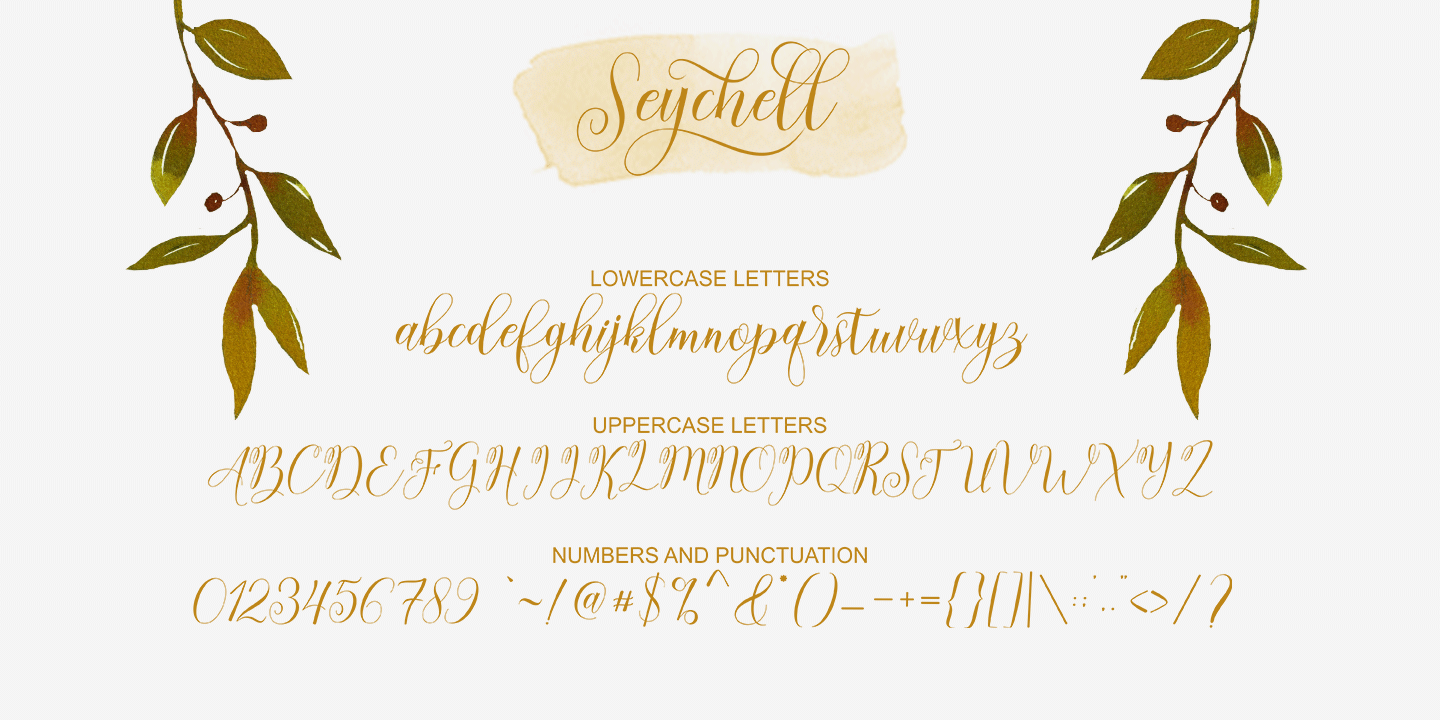 Пример шрифта Seychell Script #5